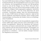 Steinzeitliche Ausrottung. Info über Nilpferde und Elefanten im Miniaturformat auf Zypern vor 14.000 Jahren.