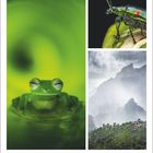 Text: August, 33. Woche, 16 Mo, 17 Di, 18 Mi, 19 Do, 20 Fr, 21 Sa, 22 So. Links ein Frosch, rechts ein Insekt und Berge.