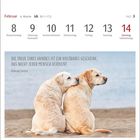 Text: "Die Treue eines Hundes ist ein kostbares Geschenk, das nicht jeder Mensch verdient." - Zitat von Konrad Lorenz. Zwei Hunde sitzen am Strand.