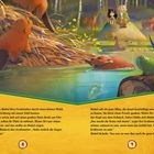 Text: Mabel folgt ihrer Großmutter durch einen Wald zu einer Lichtung. Illustration: Biber bauen Damm, Frösche, Rehe im Hintergrund.