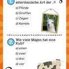 1. Das Lama ist eine südamerikanische Art der...? a) Pferde b) Giraffen c) Ziegen d) Kamele. Foto eines Lamas. 2. Wie viele Mägen hat eine Kuh? a) einen b) zwei c) drei d) vier. Illustration einer Kuh.