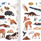 Illustration von Tieren, darunter Rehe, Fuchs, Fisch, Vogel, Eichhörnchen und Hase in verschiedenen Posen und Farben.