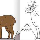 Links ein farbiges Lama, rechts eine schwarz-weiße Version. Berge im Hintergrund.