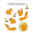 "So viele Eichhörnchen! Findest du das Eichhörnchen im grünen Kreis noch einmal? Kringle es ein." Sechs orange Eichhörnchen.