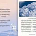 ACHTSAM SPAZIEREN. Anweisungen für bewusstes Gehen und Wahrnehmung der Umgebung. DIE SINNE TRAINIEREN. Tipps zur Naturverbindung.