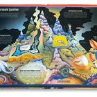 "Hydrothermale Quellen" zeigt bunte Meereslandschaften, Meerestiere und Texte zu Vulkanen und Bakterien.