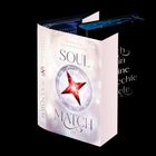 Buchtitel "Soul Match", Autorin Rebecca Danzenbaker. Illustrative Cover zeigt ein Paar mit blau schimmernden Effekten.