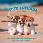 Text: "ECHTE FREUNDE teilen alles: die Fellfarbe, das Stöckchen und die Lust auf Chillen!" Drei Welpen tragen gemeinsam ein Stöckchen.