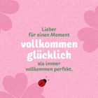 "Lieber für einen Moment vollkommen glücklich als immer vollkommen perfekt." Pinker Hintergrund mit Kleeblättern und Marienkäfer.