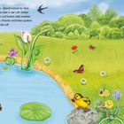 Text über Wiesen, Tiere und Insekten. Illustration einer lebhaften Wiese mit Teich, Enten, Fröschen, Schmetterlingen und Blumen.