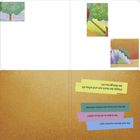 Text auf Karten: „Kralle das Buch aus und schau dir das Bild genau an!“, „Wer hat sich hinter dem Felsen versteckt?“  
Hintergrund: Bunte, künstlerische Illustration mit Bäumen und Landschaften.