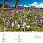 Text oben: "Krokusblüte bei Zavelstein." Februar-Kalender mit violetten Krokussen auf einer Wiese, blauer Himmel im Hintergrund.
