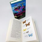 Auf dem Umschlag steht „LEA KORSGAARD DAS JAHR DER SCHMETTERLINGE“. Innen sind Illustrationen von Schmetterlingen.