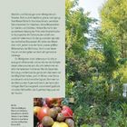 Text beschreibt einen Waldgarten als Paradies für Tiere. Rechts Bäume. Unten ein Bild mit verschiedenen Früchten.