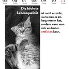 „Die höchste Lebensqualität ist nicht erreicht, wenn man es am bequemsten hat, sondern wenn man sich am besten entfalten kann.“ 

Kalender mit Katze.