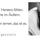 „Den Puls des eigenen Herzens fühlen...“, Christian Morgenstern. Rechts liegt eine entspannte Katze auf einem Sofa.