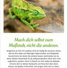 "Mach dich selbst zum Maßstab, nicht die anderen." Darunter ein grünes Chamäleon und der Kalender für Juli 2027.