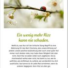 Ein wenig mehr Rizz kann nie schaden. Ein Marienkäfer auf einem Ast mit weißen Blüten. März 2027 Kalenderblatt.
