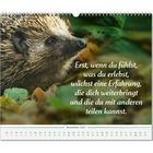 Ein Igel im Laub, daneben steht: "Erst, wenn du fühlst, was du erlebst, wächst eine Erfahrung..." Darunter: "November 2027".