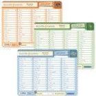 Das Bild zeigt drei Budget-Listen mit den Überschriften: "Snowball", "Seidner" und "Avalanche", jeweils mit Budgetspalten.