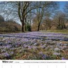 März 2027, Kalender mit Krokuswiese und Bäumen im Volksfeld, Text unten beschreibt blühende Krokusse im Park in Lüdenscheid.