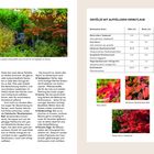 Herbstfärbung: Text über farbenfrohes Herbstlaub und Tabelle mit Gehölzen und ihren Farben. Fotos von buntem Herbstlaub.