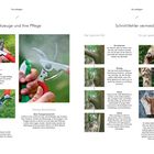 Werkzeuge und ihre Pflege, Schnittfehler vermeiden. Anleitung zum Pflegen und Desinfizieren von Gartenscheren.