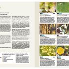 Über 230 heimische Pflanzenarten beleben unseren Garten. Beschreibungen sind von Schwarzer Nieswurz bis Sternhyazinthe.