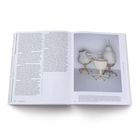 Auf der linken Seite: Text mit philosophischem Inhalt. Rechts: Farbfoto von drei ungewöhnlichen, stuhlähnlichen Objekten auf Rollen.