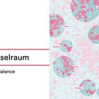 "Schlüsselraum. Region in Balance." Karte mit Städtenamen: Duisburg, Krefeld, Meerbusch, Ratingen, Mettmann, Neuss, Dormagen, Hilden, Erkrath, Langenfeld, Monheim.