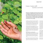 Begleittext: Haute Cuisine trifft Kantine und wird zu Bildung. Linke Bildhälfte: Hand hält kleine rote Beeren, umgeben von grünen Blättern.