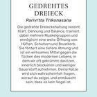 Text in der Mitte: "GEDREHTES DREIECK, Parivrtta Trikonasana. Die Position verbessert Atem, Balance und Kraft."