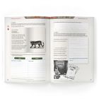 "Inhaltssicherung | Teil 1", "Rainer Maria Rilke", "Der Panther", Tabelle: "Anja" passt sich an, "Panther" müder Blick. Illustration: Panther.