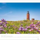 April 2027, Schleswig-Holstein. Blühende Wiese mit violetten Blumen vor einem roten Backsteinturm unter blauem Himmel.