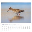 04 | 2027 WATT'N MEER Die Natur im Nationalpark. Monatskalender mit Vogel im seichten Wasser, Spiegelung sichtbar.