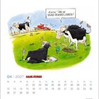 „15,43 m! Das ist neuer Rekord, Lisbeth.” Kühe, Maßband, Kalender für April 2027, Traktor im Hintergrund.