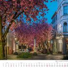 Bonn - Kirschblüte in der Heerstraße. Kalenderseite für April 2027. Blühende Kirschbäume säumen eine ruhige Straße.