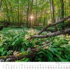 April 2027 Kalenderblatt mit einem Waldfoto. Sonnenstrahlen durchbrechen die Baumkronen, Bärlauch bedeckt den Boden.