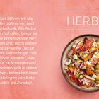 Text erklärt Herbst als Erntezeit und Gelegenheit für Soulfood. Bild zeigt einen herbstlichen Salat mit Gemüse und Speck.