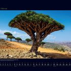 02 Februar. Dracaena Cinnabari Baum vor felsiger Landschaft, Kalender unten, Landschaft mit Bergen und blauem Himmel.