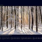 "01 Januar" oben, unten Kalendarium. Winterlicher Wald mit Schnee und Sonnenstrahlen, die durch Bäume scheinen.