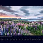 05 Mai. Kalenderansicht mit blühenden Lupinenfeldern vor einem See, Bergen und buntem Himmel.