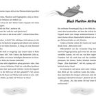 Black Phantom Airlines. Dialog zwischen Figuren: Umbras Einführung, Bitte um Licht. Szene mit Staub, alter Couch, Kakerlaken.