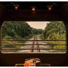 Text: "EASTERN & ORIENTAL EXPRESS". 
Innenraum eines Zugabteils mit Blick auf Schienen und umgebenen Dschungel.