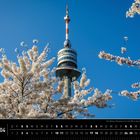 Wien 04, Der Wiener Donauturm ist 252 m hoch. Blühende Bäume und ein hoher Turm vor klarem blauen Himmel.