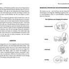 Zwei Textabschnitte: "Ausstieg" und "Wann sollten wir auf ein Miteinander setzen?". Illustrationen zeigen Optionen wie "Zusammenarbeit".