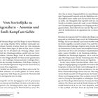 "Vom Streitobjekt zu Mitgestaltern – Antonias und Emils Kampf um Gehör." Text über einen Scheidungskonflikt einer Familie.