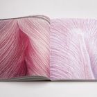 Zwei Buchseiten mit Illustrationen von fließenden, feinen Linien in Rosa- und Rottönen. Keine Texte vorhanden.