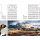 Texte: Kurz erfasst, Ausgangspunkt, Gipfel, Dauer, Beste Zeit, Gut zu wissen, Weiter wandern. Bilder: Murmeltier, Berglandschaft mit Wanderer.