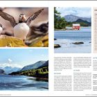 ZWISCHENSTOPP: Vogelinsel Runde ist Norwegens südlichstes Vogelparadies. Bilder zeigen Papageientaucher, Küste und Haus am Wasser.